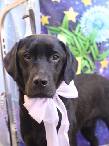 20250708文太くん